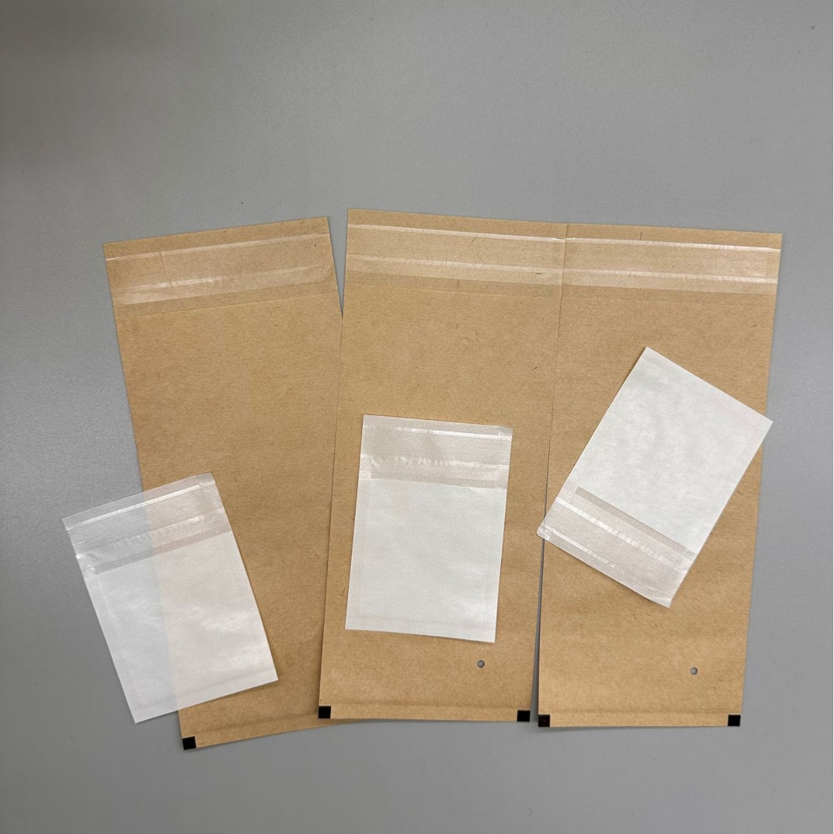 biodegradable paper bags